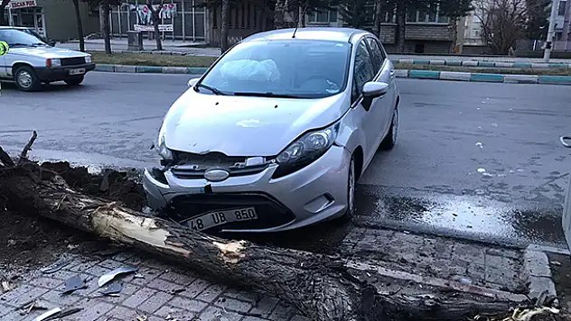 Konya'da otomobil ağaca çarptı: 1 yaralı