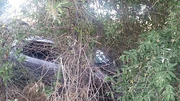 Konya'da otomobil ağaçlık alana uçtu: 4 yaralı