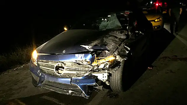 Konya'da otomobil başıboş ata çarptı