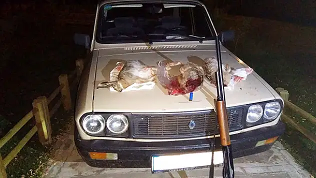 Konya'da otomobil far ışığıyla tavşan avına 9 bin lira ceza
