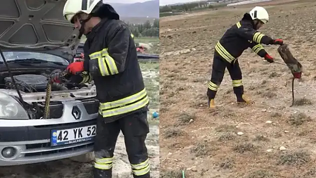 Konya'da otomobile giren yılanı itfaiye çıkarttı
