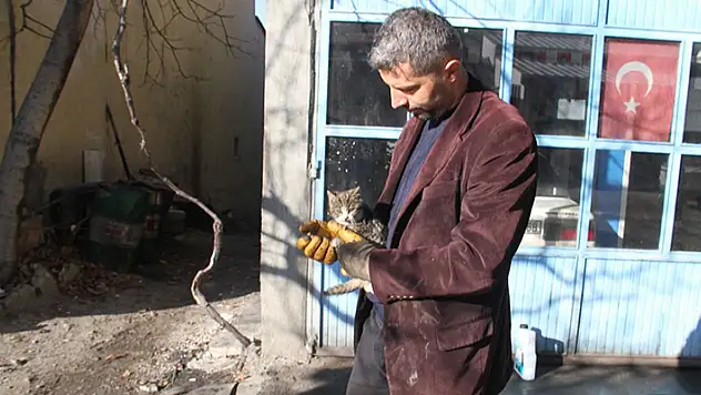 Konya'da otomobilin motor kısmına giren kedi kurtarıldı
