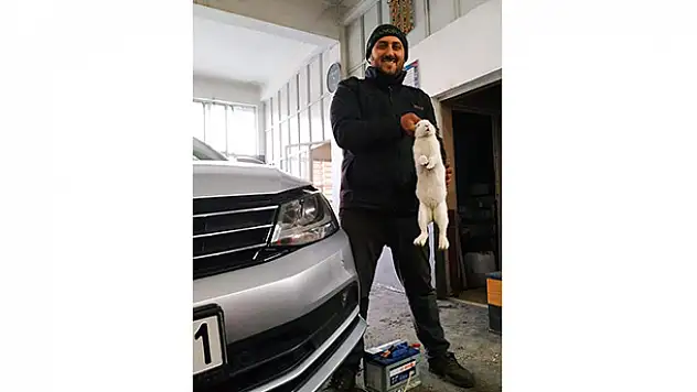 Konya'da otomobilin motor kısmından çıkan tavşanı dükkanında besliyor