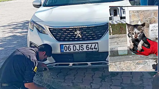Konya'da otomobilin motoruna sıkışan kedi kurtarıldı
