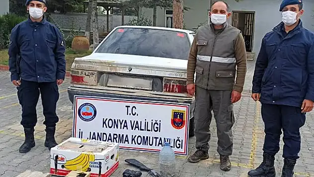 Konya'da otomobille şahin avına 13 bin 692 lira ceza