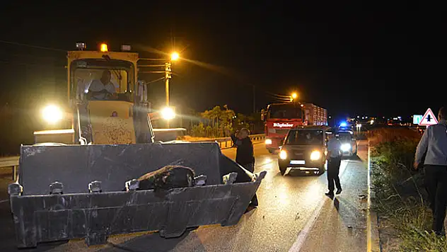 Konya'da otomobillerin çarptığı 2 eşek telef oldu