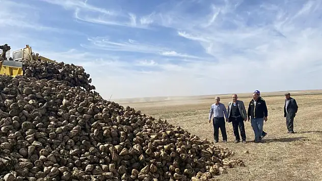 Konya'da pancar hasadı başladı