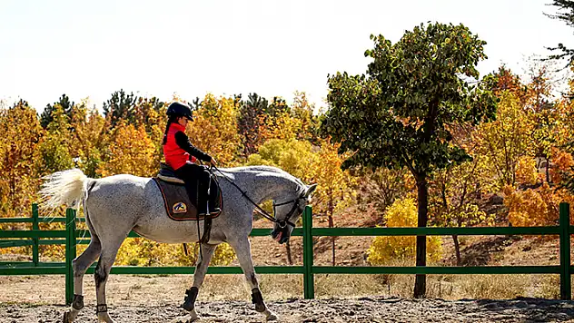 Konya'da pandemiyle beraber binicilik sporuna talep katlandı