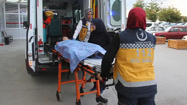 Konya'da parkta köpeklerin saldırısına uğrayan çocuk hastanelik oldu
