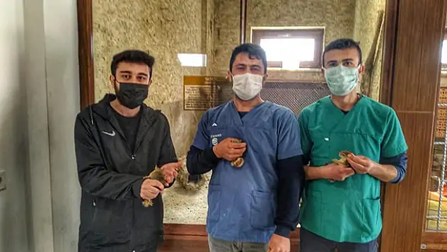 Konya'da pet shopta sincap ticaretine idari para ve tazminat cezası