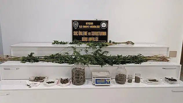 Konya'da polisin bastığı ceviz bahçesinden uyuşturucu çıktı

