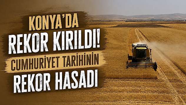 Konya'da rekor kırıldı! Cumhuriyet tarihinin rekor hasadı