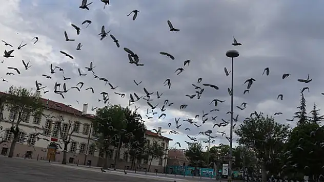 Konya'da sessizlik hakim