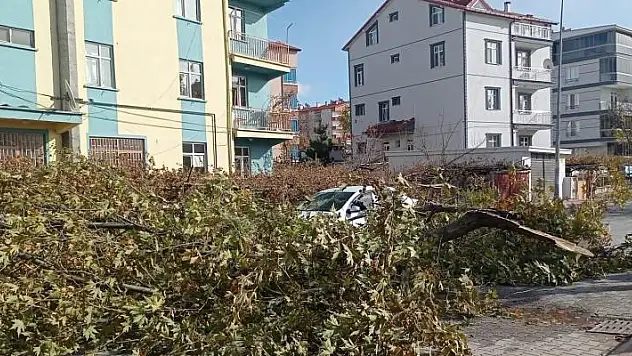 Konya'da şiddetli fırtınada kırılan ağaç park halindeki otomobile zarar verdi