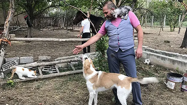 Konya'da sıra dışı bir doktor: 'Hayvanlar hayatıma her zaman güzellik katıyor'