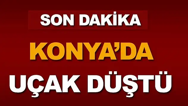 Konya'da sivil uçak düştü