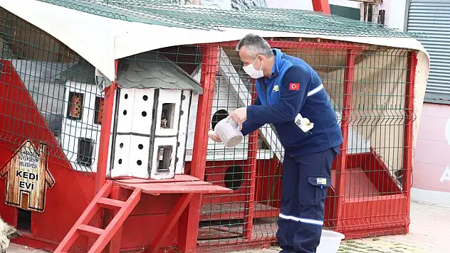 Konya'da sokak hayvanları tam kapanmada emin ellerde
