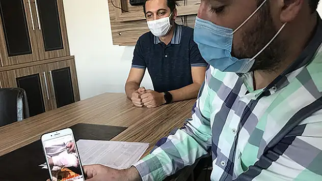 Konya'da sokak köpeğinin ısırdığı vatandaş belediyeden şikayetçi oldu! 3 bin lira tazminat kazandı