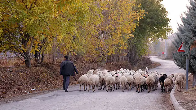 Konya'da sonbahar renkleri ve karlı dağlar büyüleyici manzaralar oluşturdu