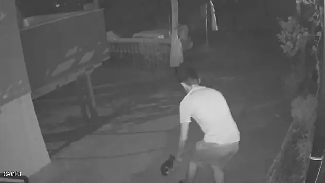 Konya'da şortlu, terlikli, rahat tavırlı yavru kedi hırsızı kamerada