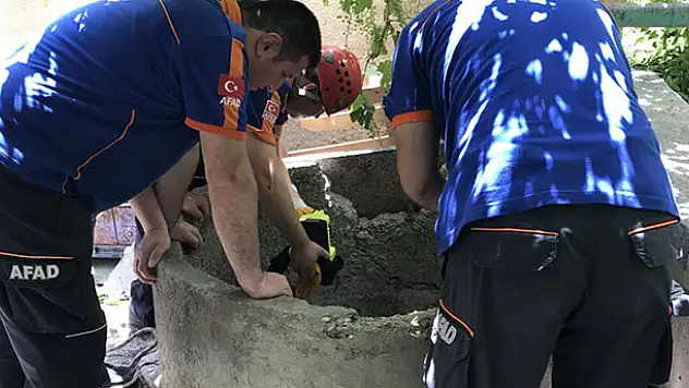 Konya'da su kuyusuna düşen yavru kedi kurtarıldı