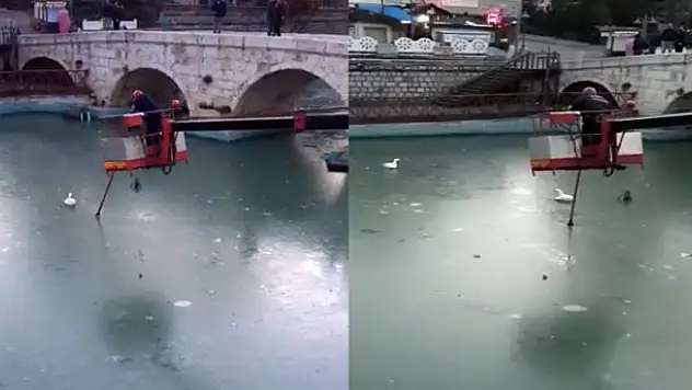 Konya'da suda ayakları donan kazları itfaiye kurtardı