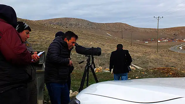 Konya'da sulak alanlardaki su kuşu sayımları tamamlandı