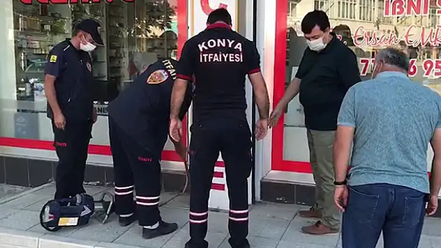 Konya'da tabela arkasındaki boşluğa düşen yavru kedi kurtarıldı