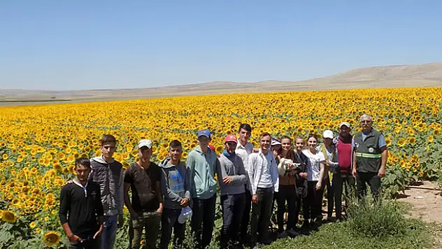 Konya'da tarım işçilerinin bulduğu yaralı leylek tedaviye alındı