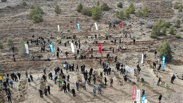 Konya'da 'Tarım ve Orman Platformu Hatıra Ormanı' oluşturuldu

