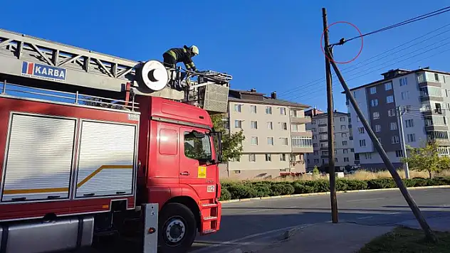 Konya'da telefon kablosunda mahsur kalan yavru kediyi itfaiye kurtardı
