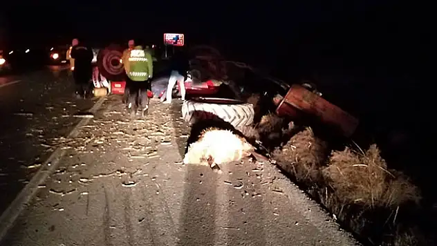 Konya'da tır ile traktör çarpıştı, koyunlar telef oldu