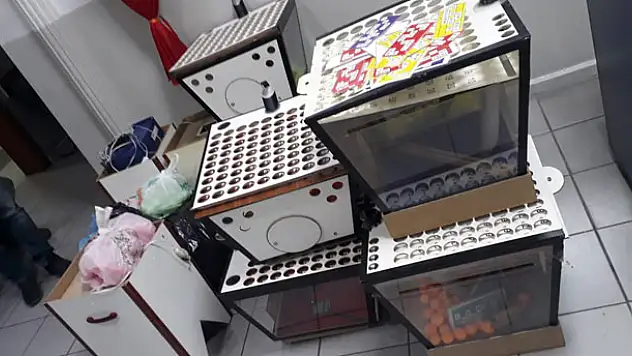 Konya'da tombalaya suçüstü: 45 kişiye para cezası!