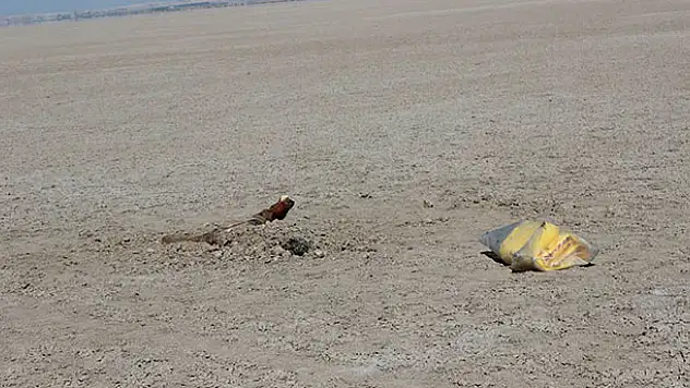Konya'da toprağa gömülü erkek cesedi bulundu