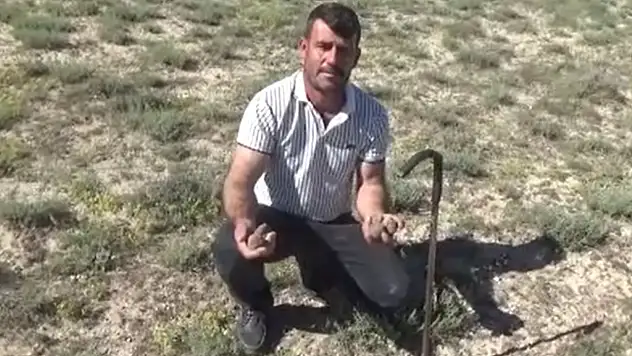 Konya'da toprağın altından servet çıkarıyor