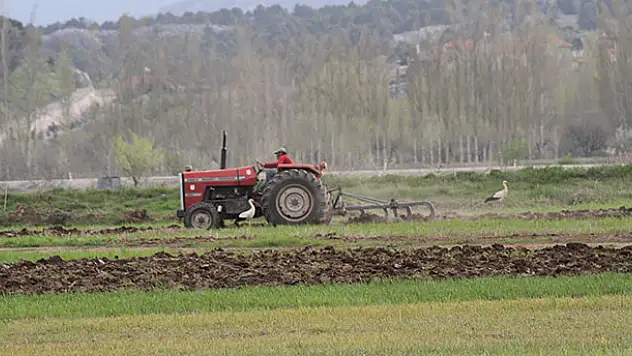 Konya'da traktörün peşine takılan leyleklerin solucan, fare ve böcek avı