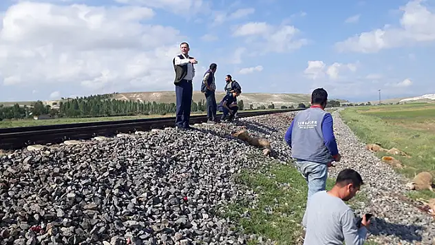 Konya'da trenin çarptığı 140 küçükbaş hayvan telef oldu
