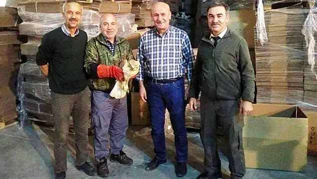 Konya'da uçamayan şahin tedaviye alındı