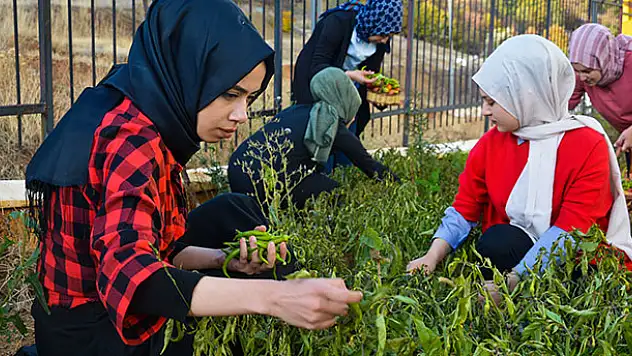 Konya'da üniversite öğrencilerinden örnek davranış! İhtiyaç sahipleri için de sebze yetiştiriyorlar