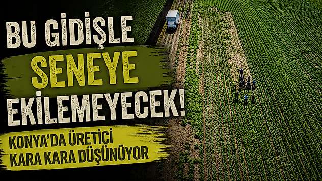 Konya'da üretici zorda! Hasat var, alıcı yok