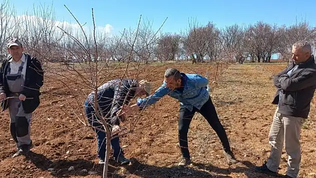 Konya'da üreticilere uygulamalı budama eğitimi
