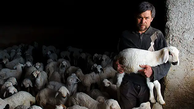 Konya'da üreticinin ağılında 'mart' bereketi
