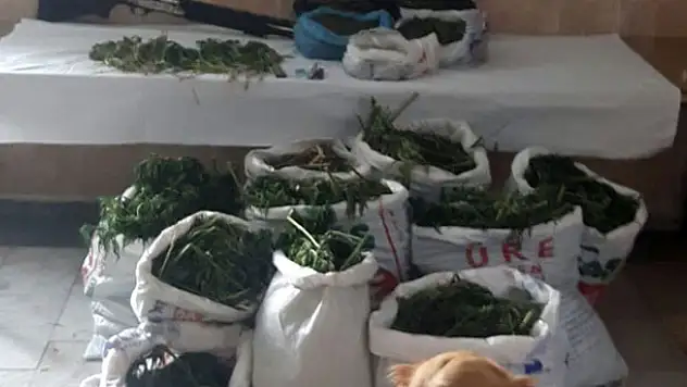 Konya'da uyuşturucu operasyonu : Çok sayıda kubar esrar ele geçirildi