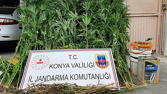 Konya'da uyuşturucu operasyonu: Şüpheliler aranıyor