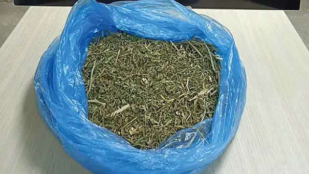 Konya'da uyuşturucu tacirinin evine baskın: 1 gözaltı