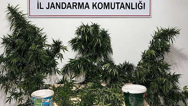 Konya'da uyuşturucuya geçit yok! 6 şüpheli tutuklandı