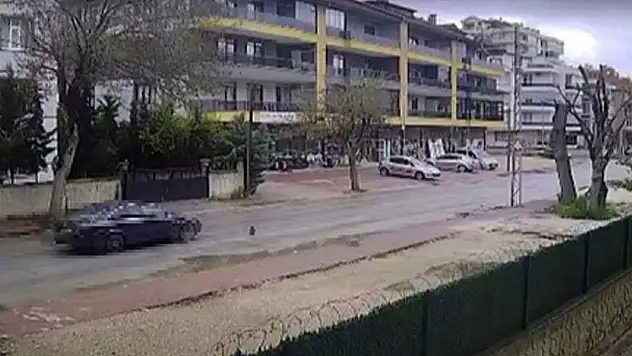 Konya'da vicdan sızlatan görüntü