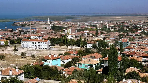 Konya'da yaban domuzu mahalleye indi