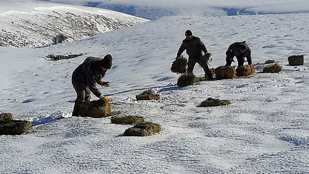 Konya'da yaban hayvanları için doğaya 1 ton kuru yonca bırakıldı