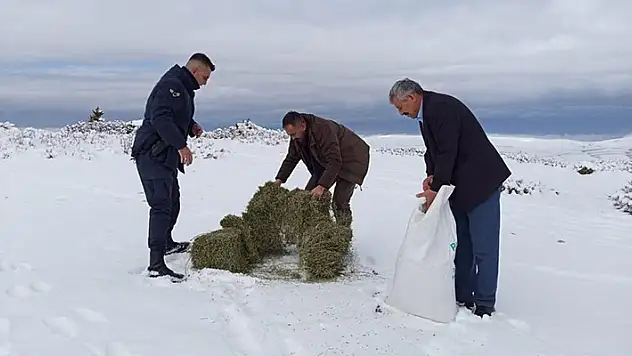 Konya'da yaban hayvanları için doğaya yem bırakıldı